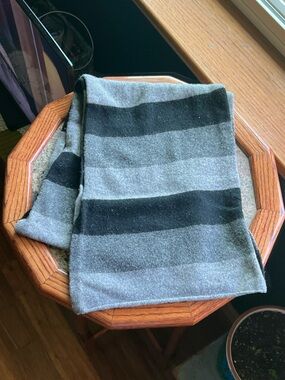 Wool GAP Striped Scarf